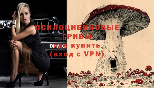 мет Нефтекумск