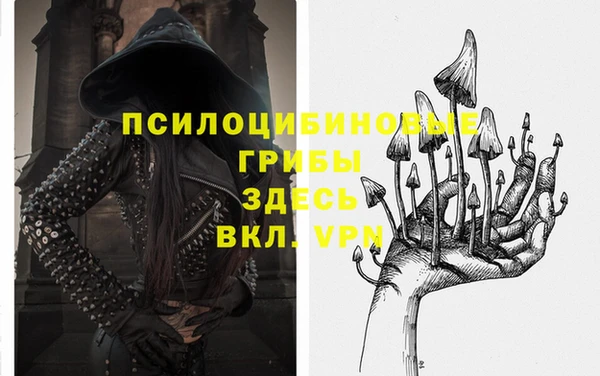 СК Баксан