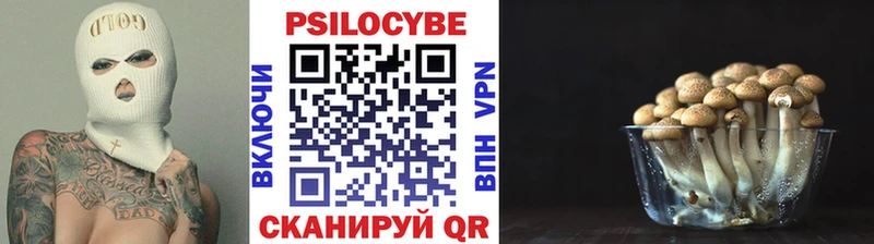 Псилоцибиновые грибы прущие грибы  hydra маркетплейс  Кольчугино 